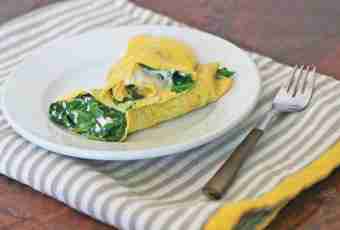 How to prepare a plain and useful omelet for those who lose weight